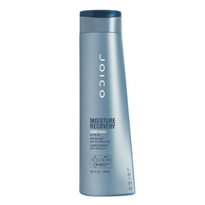 Joico Moisture Recovery Dry Hair Conditioner 300ml