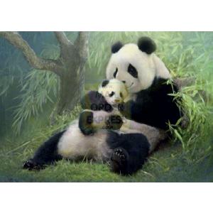 Cuddling Pandas 500 Piece Jigsaw Puzzle