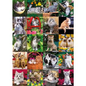 Cuddly Cats 1000 Piece Jigsaw Puzzle