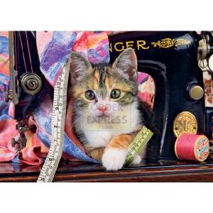 Kitten and Cotton 1000 Piece Jigsaw Puzzle
