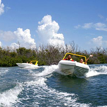 Jungle Adventure Tour - Adult Shared