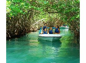 Jungle Adventure Tour - Child