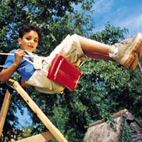 Jungle Gym Swing Seat