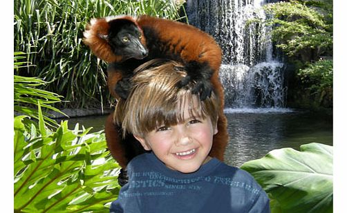 Jungle Island VIP Safari Tour