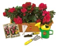 window box gardening set