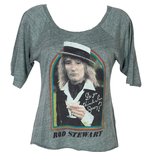 Junk Food Ladies Do You Think Im Sexy Rod Stewart