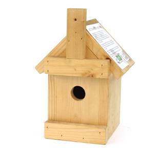 just green Dormouse Habitat