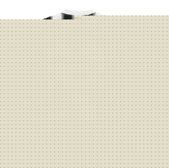 Juventus Nike 2011-12 Juventus Nike Home Shirt (Vucinic 14)