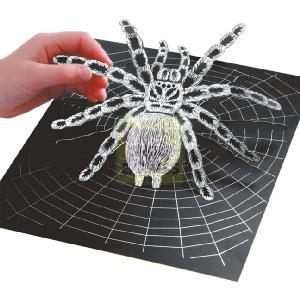 K S G KSG 3D Artfoil Spider
