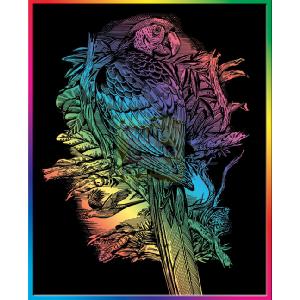 K S G KSG Artfoil Rainbow Parrot
