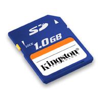Kingston Secure Digital Memory Card - 1024MB
