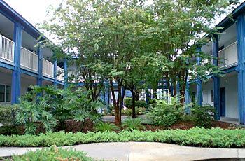 Americas Best Value Inn