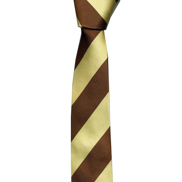 Brown / Gold Stripe Skinny Tie by