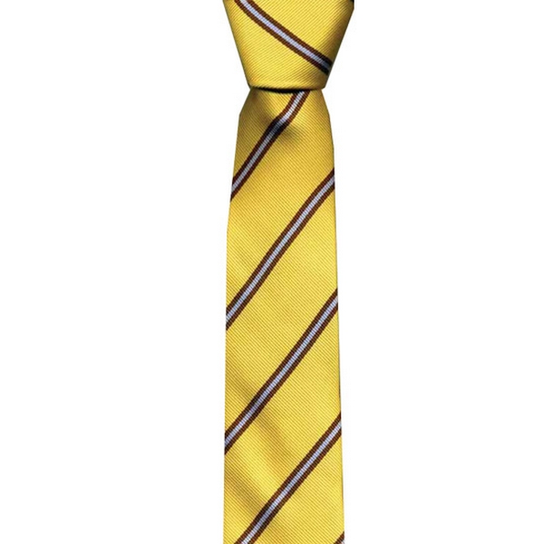 Yellow/ Brown Stripe Skinny Tie by