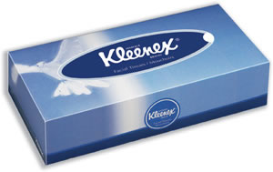 Facial Tissues Box 2 ply 200x210mm 100