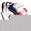 KOOKABURRA Angry Beast Cricket Batting Gloves