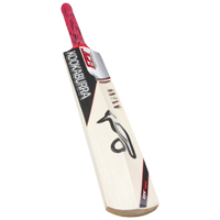 Kookaburra CCX Prodigy 60 Cricket Bat - H -