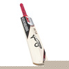 KOOKABURRA CCX Prodigy 60 Kashmir Willow Cricket
