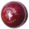 Club Cricket Ball (AK109)