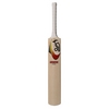 KOOKABURRA TEMPEST CRICKET BAT (BK221)