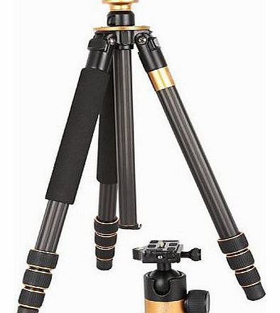 Brand Carbon Fiber Digital Camera SLR DSLR Travel Tripod Ball Head Light-Weight!