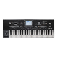 PA3X 76 Key Professional Arranger Workstation