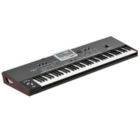 Korg Pa3X Le Professional Arranger Keyboard