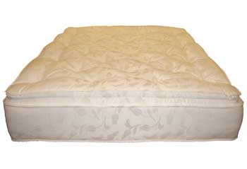 Kozee Sleep Furniture123 Pillow Master Mattress