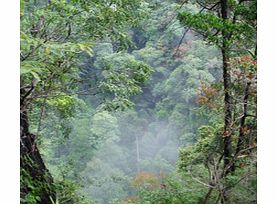 Krabi Rainforest Discovery - Child