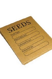 Kraft Paper Seed Packets x 20
