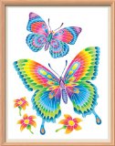 KSG Colour Flow Butterflies
