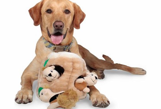 Puzzle Plush Hide-A-Squirrel Dog Toy