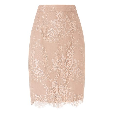 L.K. Bennett Essie Lace Pencil Skirt Colour Powder