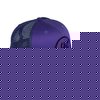 LRG New Era Bonyard Fitted Cap (Purple)