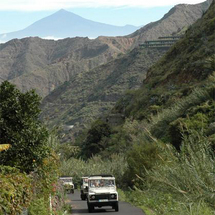 La Gomera Open Top Jeep Safari - Child