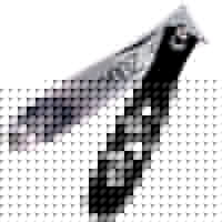 La-tweez Beauty Tools Petite Nail Clipper