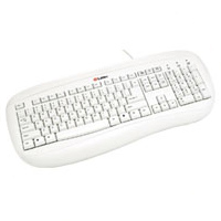 Labtec Standard Keyboard