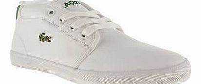 kids lacoste white & green ampthill unisex