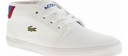 kids lacoste white & navy ampthill boys junior