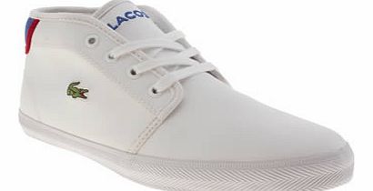 kids lacoste white & navy ampthill boys youth