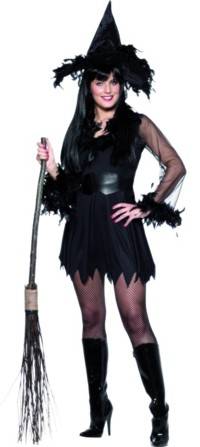 ladies Costume: Sexy Feather Witch (UK 8-10)