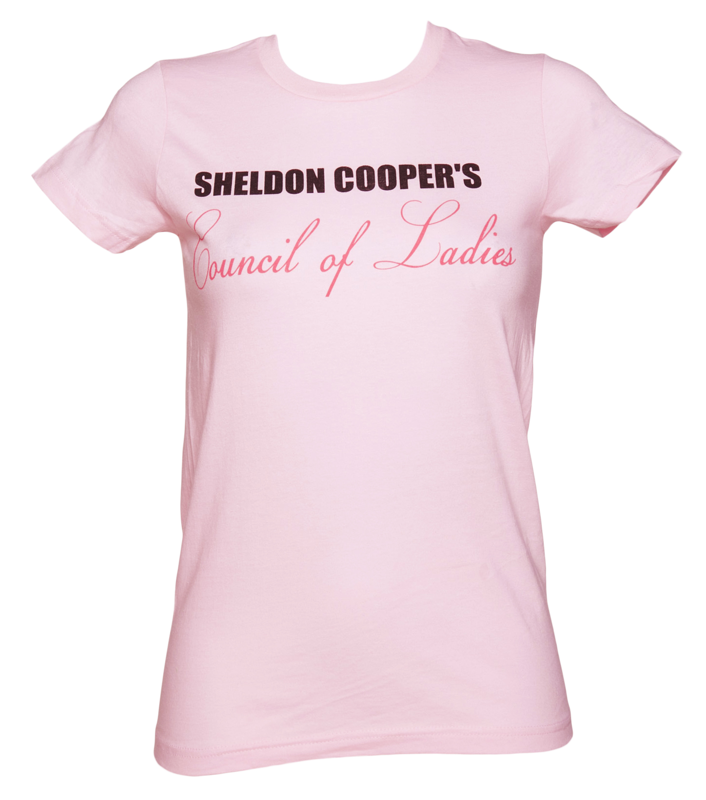 Ladies Pink Council Of Ladies Big Bang Theory