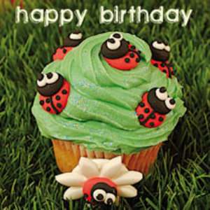 Ladybird Cupcake Birthday Card