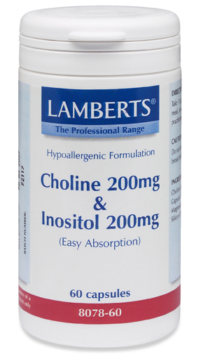 Lamberts Choline 250mg/Inositol 250mg 60 capsules