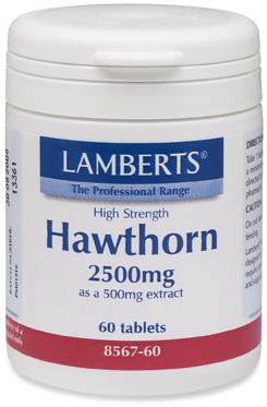 High Strength Hawthorn 2500mg (60)