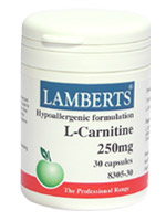 Lamberts L-Carnitine 500mg 60 capsules