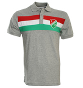 Grey Polo Shirt with Coloured Stripes