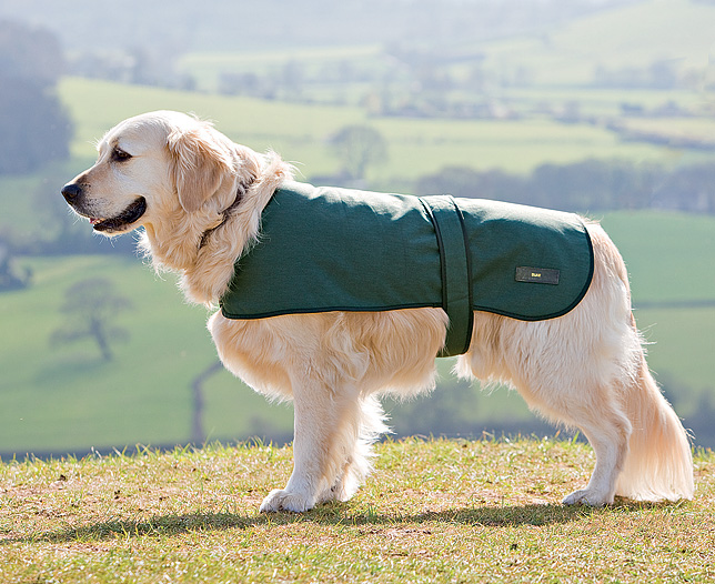 Large Dog Waxed Jacket