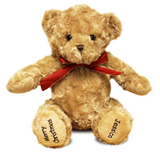 Large Personalised Teddy Bear