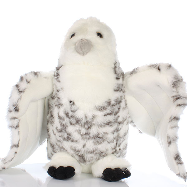 Snowy Owl With Open Wings